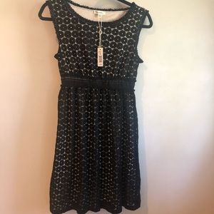 Max Studio black / nude lace dress